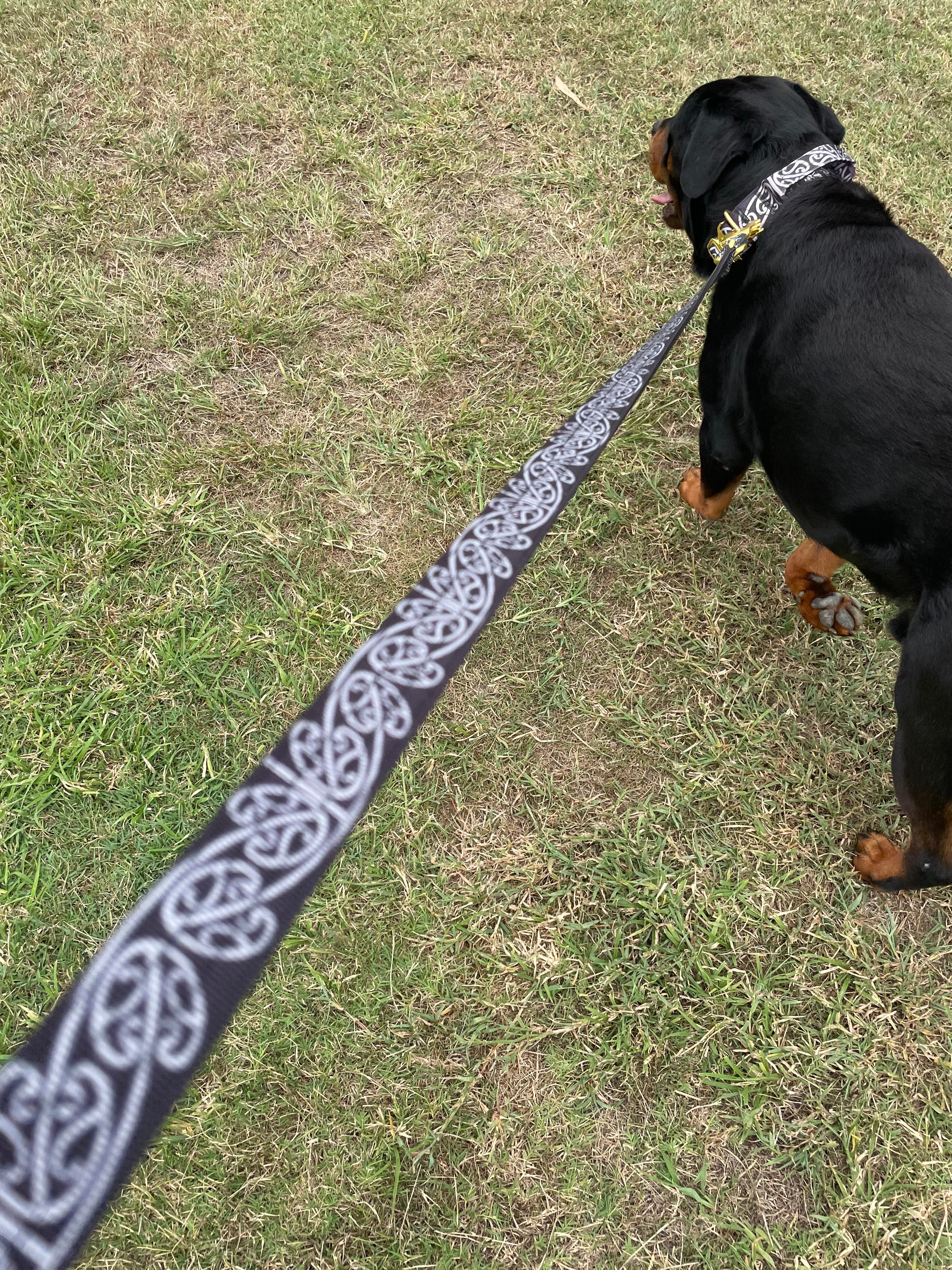 Kaitiaki Leash