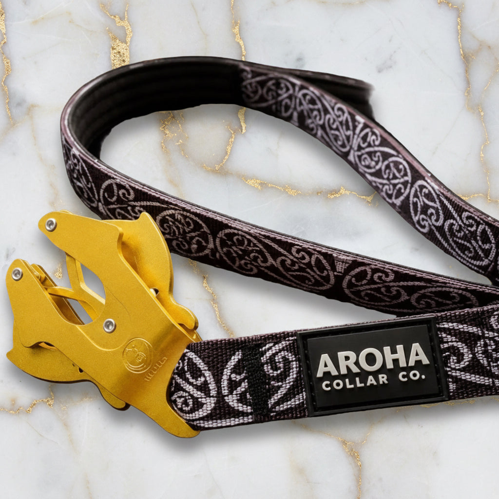 🔥 Bundle & Save 🔥 Collar + leash