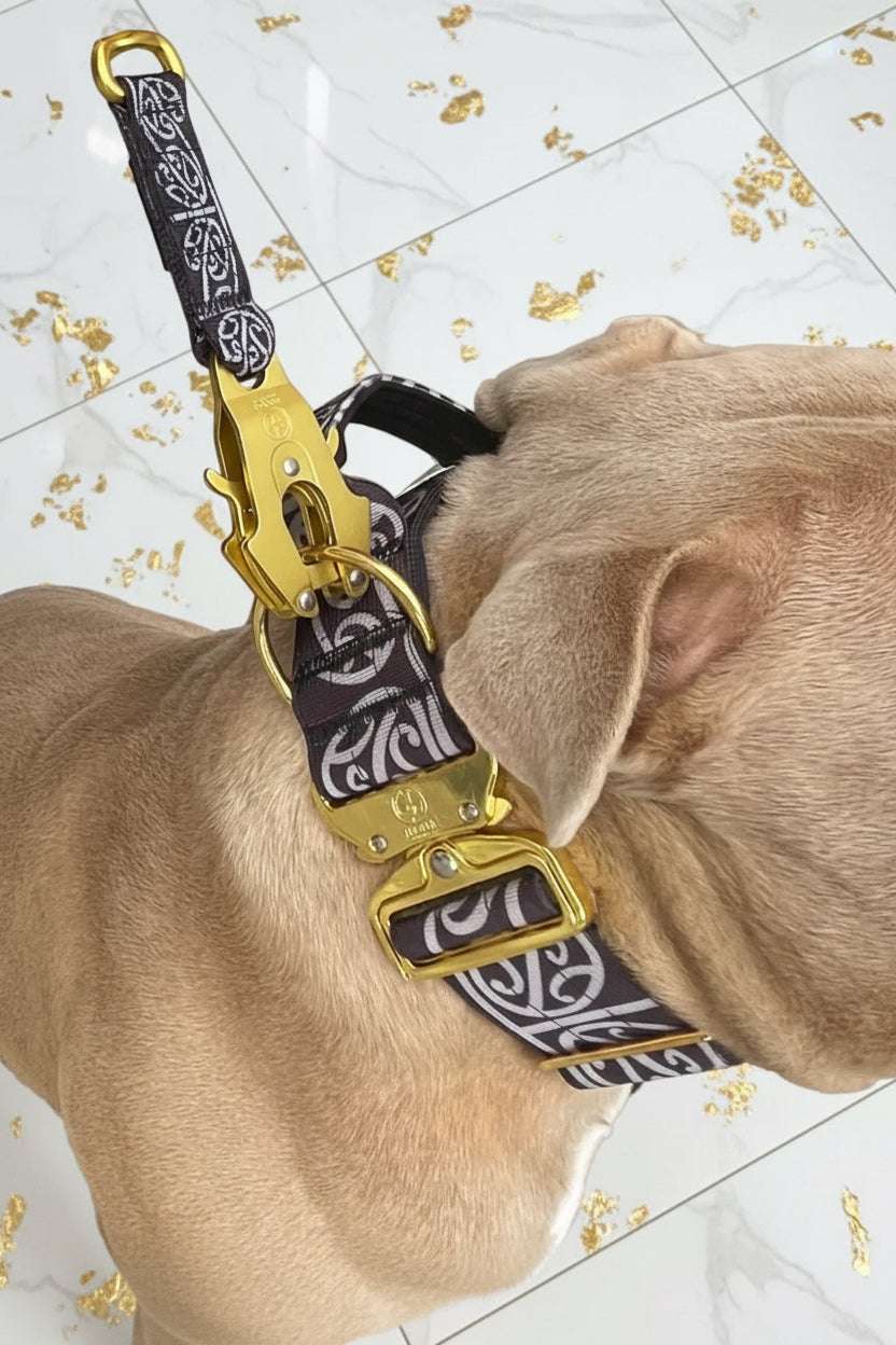 🔥 Bundle & Save 🔥 Collar + leash