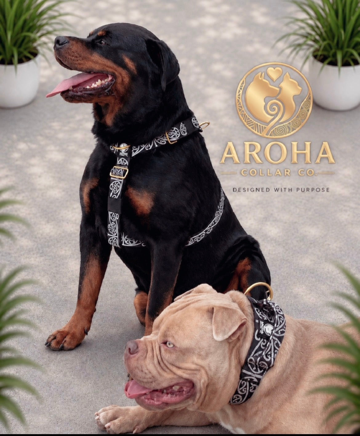 🔥 Bundle & Save 🔥 Kaitiaki Full Set – Harness+ Collar & Leash